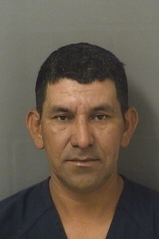  JOSE ISMAEL VASQUEZ Results from Palm Beach County Florida for  JOSE ISMAEL VASQUEZ