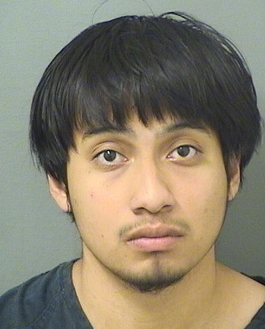  CRISTIAN AGUILARHERNANDEZ Results from Palm Beach County Florida for  CRISTIAN AGUILARHERNANDEZ