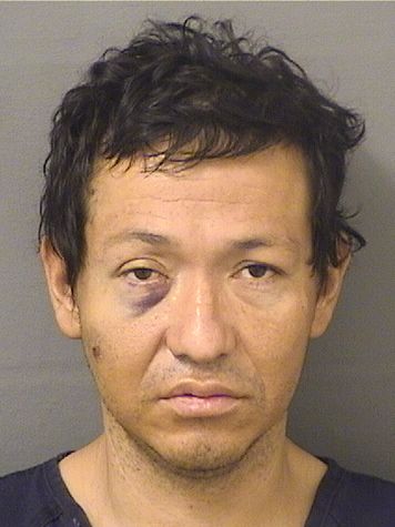  LUSVIN YUBINI URIASREVOLORIO Resultados de la busqueda para Palm Beach County Florida para  LUSVIN YUBINI URIASREVOLORIO