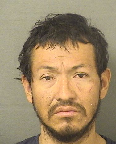  REVOLORIO LUSVIN Resultados de la busqueda para Palm Beach County Florida para  REVOLORIO LUSVIN