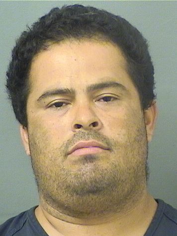  RICARDO JOSE SALINASMEMBRENO Results from Palm Beach County Florida for  RICARDO JOSE SALINASMEMBRENO