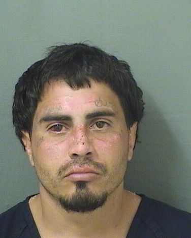  CARLOS TIRADORODRIGUEZ Resultados de la busqueda para Palm Beach County Florida para  CARLOS TIRADORODRIGUEZ