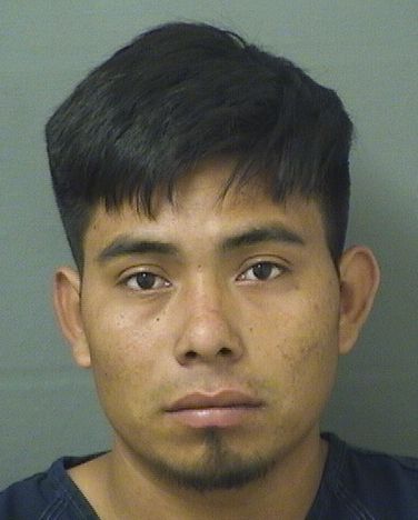 ALFREDO PEREZVELASQUEZ Results from Palm Beach County Florida for ALFREDO PEREZVELASQUEZ ALFREDO PEREZVELASQUEZ Results from Palm Beach County Florida for ALFREDO PEREZVELASQUEZ