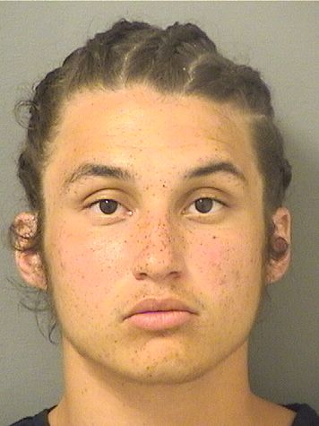  MIKAL DANTE DULYSZ Resultados de la busqueda para Palm Beach County Florida para  MIKAL DANTE DULYSZ