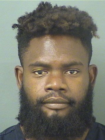  BRANDON LOUIS Results from Palm Beach County Florida for  BRANDON LOUIS
