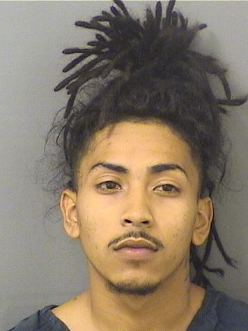  LOGAN PETER LEZAMA Results from Palm Beach County Florida for  LOGAN PETER LEZAMA