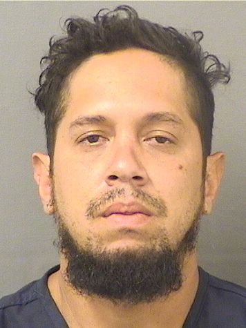  CARLOS E SIBADASIBADA Results from Palm Beach County Florida for  CARLOS E SIBADASIBADA