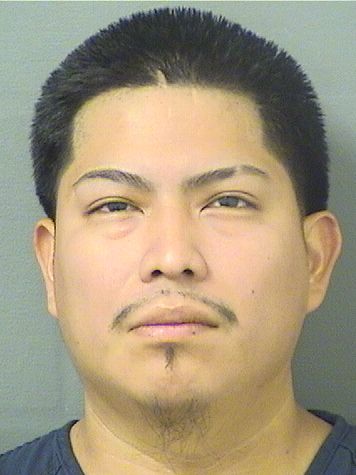  VICTOR UGO BARTOLON Results from Palm Beach County Florida for  VICTOR UGO BARTOLON
