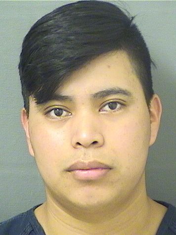  GILMAR FERNANDO LUCASVAIL Results from Palm Beach County Florida for  GILMAR FERNANDO LUCASVAIL