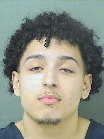  LUIS DIEGO COTO Results from Palm Beach County Florida for  LUIS DIEGO COTO