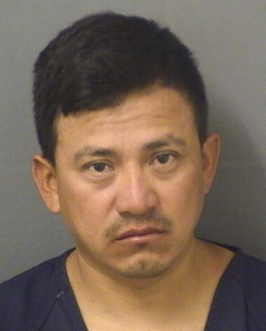  WILDER RENE SANCHEZMAZARIEGOS Photo For  WILDER RENE SANCHEZMAZARIEGOS