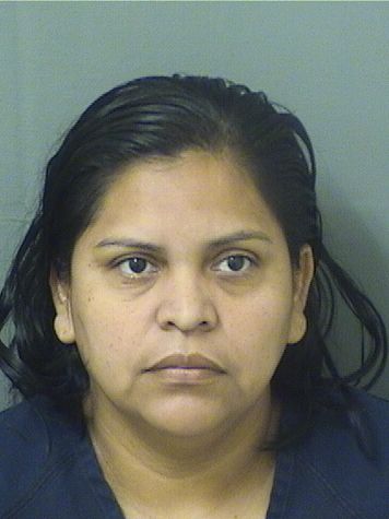 MABEL NINET GARCIASANTIZO Results from Palm Beach County Florida for MABEL NINET GARCIASANTIZO MABEL NINET GARCIASANTIZO Results from Palm Beach County Florida for MABEL NINET GARCIASANTIZO