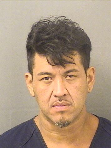  DANIEL E MEDRANOCANAS Results from Palm Beach County Florida for  DANIEL E MEDRANOCANAS