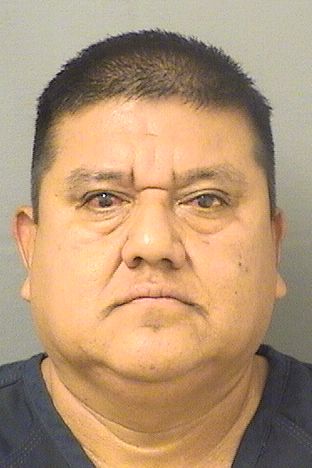 BALTAZAR MONTEJODOMINGO Photos For  BALTAZAR MONTEJODOMINGO  BALTAZAR MONTEJODOMINGO Photo For  BALTAZAR MONTEJODOMINGO