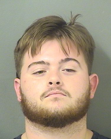  DYLAN PATRICK HAMPTON Results from Palm Beach County Florida for  DYLAN PATRICK HAMPTON