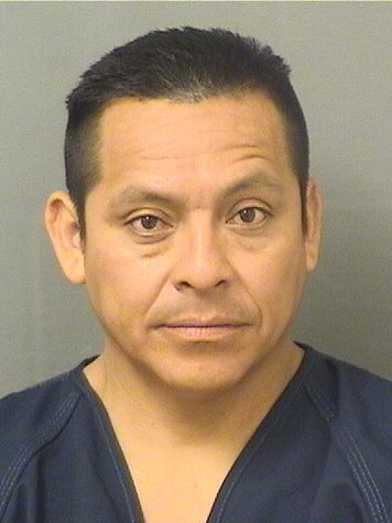  HECTOR LOPEZMENDEZ Results from Palm Beach County Florida for  HECTOR LOPEZMENDEZ