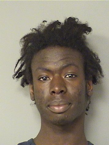  JOE LEWIS Jr DONALDSON Results from Palm Beach County Florida for  JOE LEWIS Jr DONALDSON