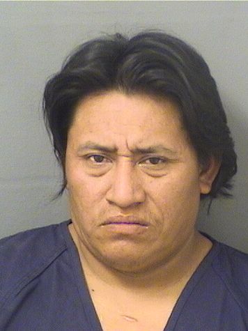  ALFREDO BENJA LOPEZHERNANDEZ Results from Palm Beach County Florida for  ALFREDO BENJA LOPEZHERNANDEZ