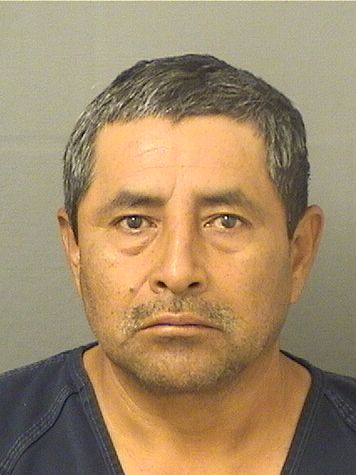  ANDRES OLEGARIO HERNANDEZNIETO Results from Palm Beach County Florida for  ANDRES OLEGARIO HERNANDEZNIETO