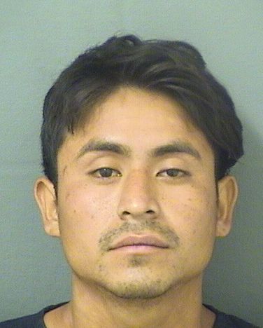  WALTER H VICENTECHAVEZ Results from Palm Beach County Florida for  WALTER H VICENTECHAVEZ