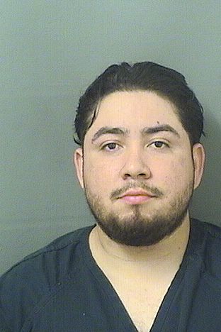  JERRY ICABALZETARIVA Results from Palm Beach County Florida for  JERRY ICABALZETARIVA