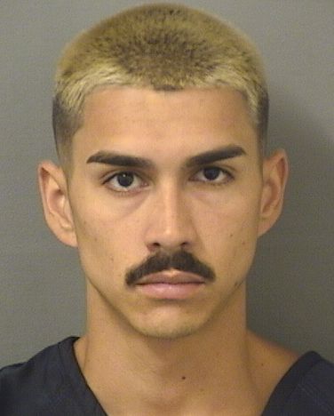  SEBASTIAN CORREAL Results from Palm Beach County Florida for  SEBASTIAN CORREAL