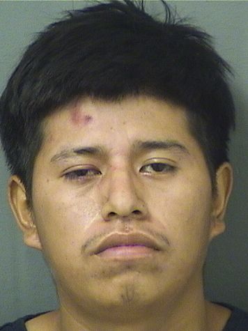 DARIL PEREZVASQUEZ Results from Palm Beach County Florida for DARIL PEREZVASQUEZ DARIL PEREZVASQUEZ Results from Palm Beach County Florida for DARIL PEREZVASQUEZ