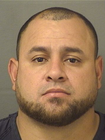  DENNIS LORENZO PAVONFLORES Results from Palm Beach County Florida for  DENNIS LORENZO PAVONFLORES