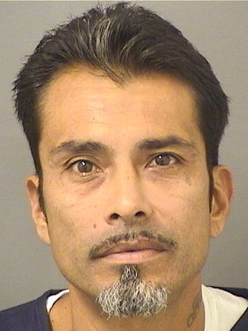  ADAM MAGANA Resultados de la busqueda para Palm Beach County Florida para  ADAM MAGANA