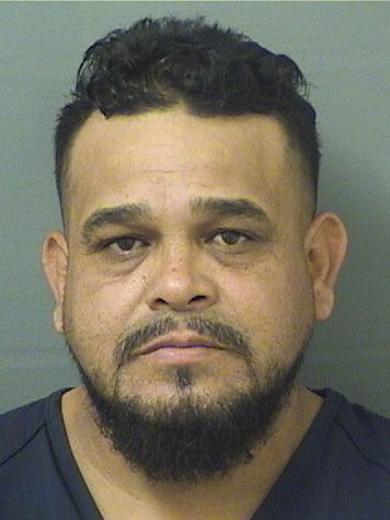  JAVIER HINOJOSA Results from Palm Beach County Florida for  JAVIER HINOJOSA