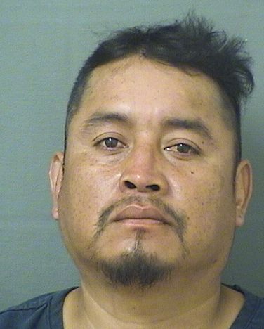  ALEJANDRO GUERRARODRIGUEZ Results from Palm Beach County Florida for  ALEJANDRO GUERRARODRIGUEZ