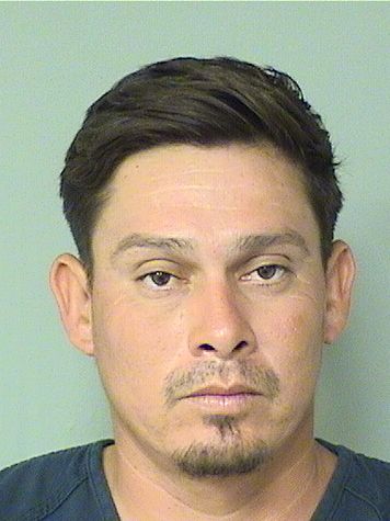  JORGELUIS PINEDAAVILA Results from Palm Beach County Florida for  JORGELUIS PINEDAAVILA