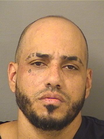  JOSE ISRAEL GONZALEZOQUENDO Results from Palm Beach County Florida for  JOSE ISRAEL GONZALEZOQUENDO