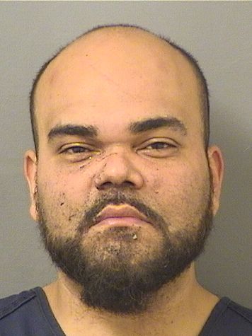  NOEL ORFILA Results from Palm Beach County Florida for  NOEL ORFILA