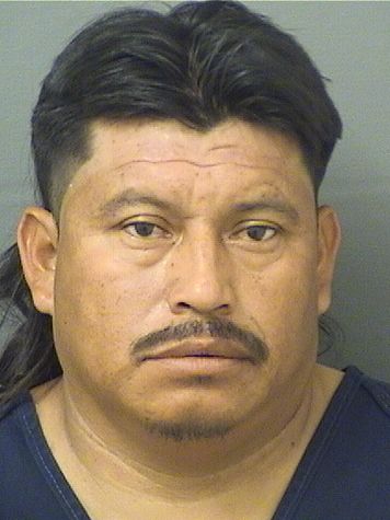  MARTIN PEDROSEBASTIAN Results from Palm Beach County Florida for  MARTIN PEDROSEBASTIAN