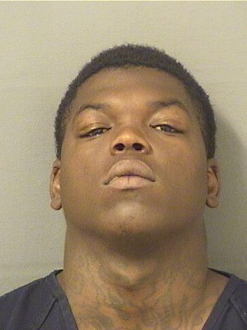  PAUL MICHEAL TODD Results from Palm Beach County Florida for  PAUL MICHEAL TODD