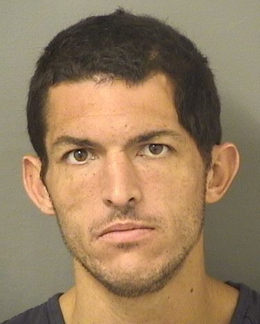  ALEXANDER JASON REINER Resultados de la busqueda para Palm Beach County Florida para  ALEXANDER JASON REINER