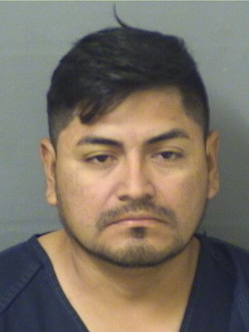  ADAN MORALESSALAZAR Results from Palm Beach County Florida for  ADAN MORALESSALAZAR