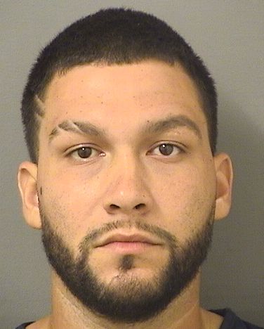  MARCOS ORTEGA Results from Palm Beach County Florida for  MARCOS ORTEGA