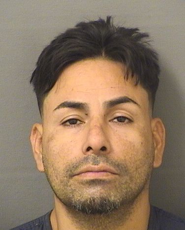  JONATHAN JARRY MIRANDACABEL Resultados de la busqueda para Palm Beach County Florida para  JONATHAN JARRY MIRANDACABEL