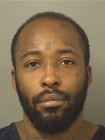  RICARDO ANTHONY RADNEY Results from Palm Beach County Florida for  RICARDO ANTHONY RADNEY