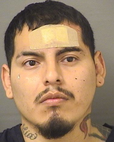 ANGEL ALEXANDER SINCHI Results from Palm Beach County Florida for ANGEL ALEXANDER SINCHI ANGEL ALEXANDER SINCHI Results from Palm Beach County Florida for ANGEL ALEXANDER SINCHI