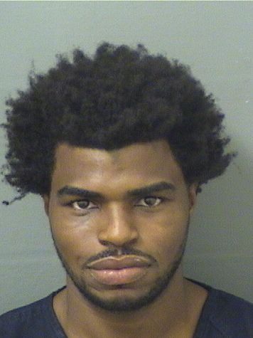  ALFRED CHRISTOPHERJ COOK Results from Palm Beach County Florida for  ALFRED CHRISTOPHERJ COOK