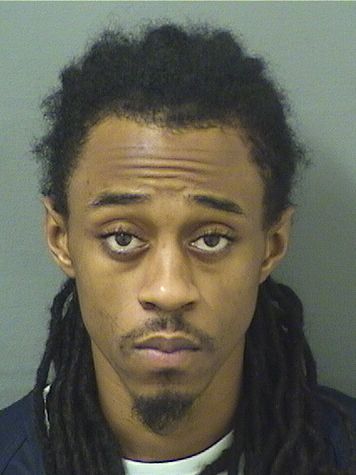  DANTE MIGEL BRITTON Results from Palm Beach County Florida for  DANTE MIGEL BRITTON