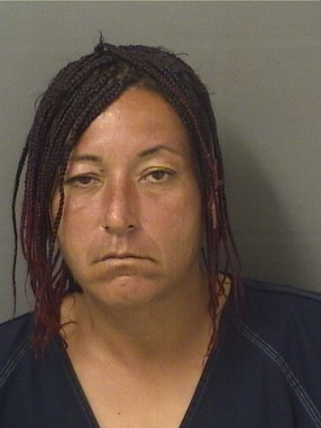  ATHANASIA THEODOROPOULOS Results from Palm Beach County Florida for  ATHANASIA THEODOROPOULOS