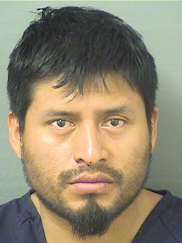  CRISTIAN ANASTACIO LOPEZVELASQUEZ Results from Palm Beach County Florida for  CRISTIAN ANASTACIO LOPEZVELASQUEZ