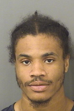  KENZEL ASTON GEORGE Results from Palm Beach County Florida for  KENZEL ASTON GEORGE