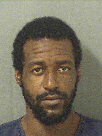  LYNOTT MARTE OWENS Results from Palm Beach County Florida for  LYNOTT MARTE OWENS