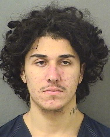  JOSHUA PARDODEFIGUEROA Results from Palm Beach County Florida for  JOSHUA PARDODEFIGUEROA