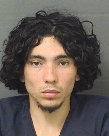  DANIEL VALENTINO VARELA Results from Palm Beach County Florida for  DANIEL VALENTINO VARELA